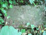 image of grave number 248509